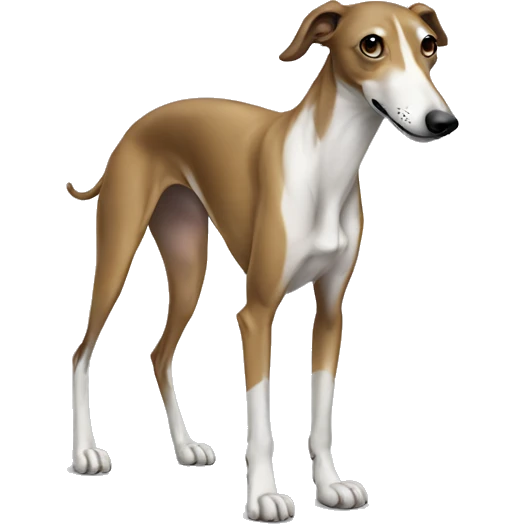 greyhound with pee emoji