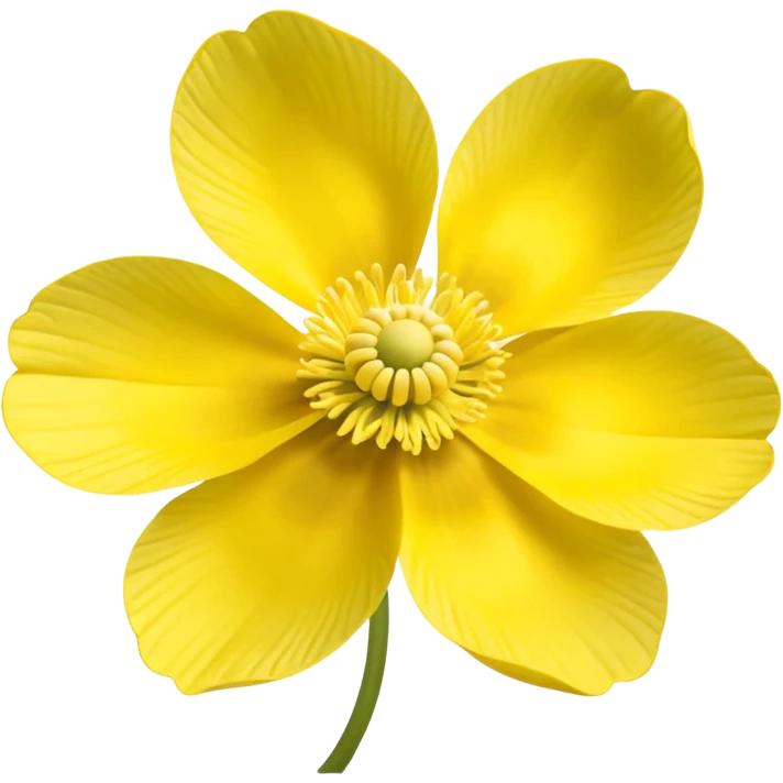 five-leaved yellow anemone emoji