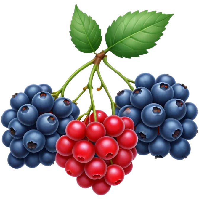 wild berries emoji