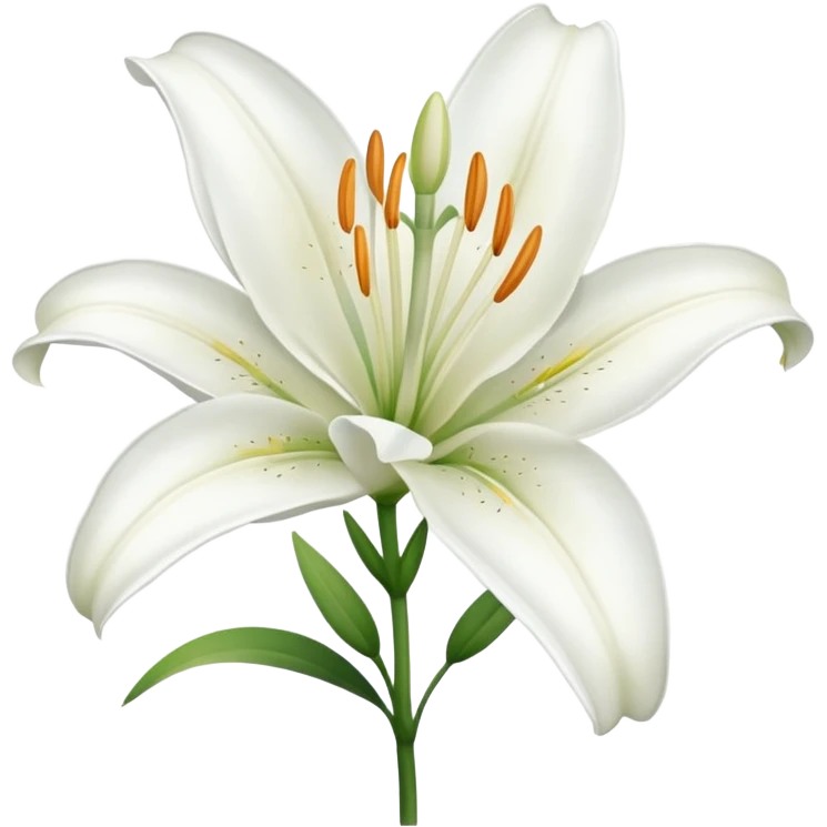 White lilyum flower emoji