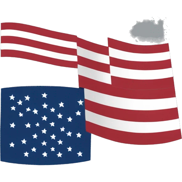 Half brail nd half USA flag emoji