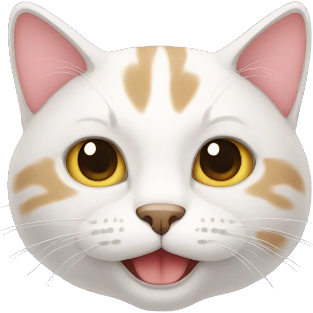 Cat emoji