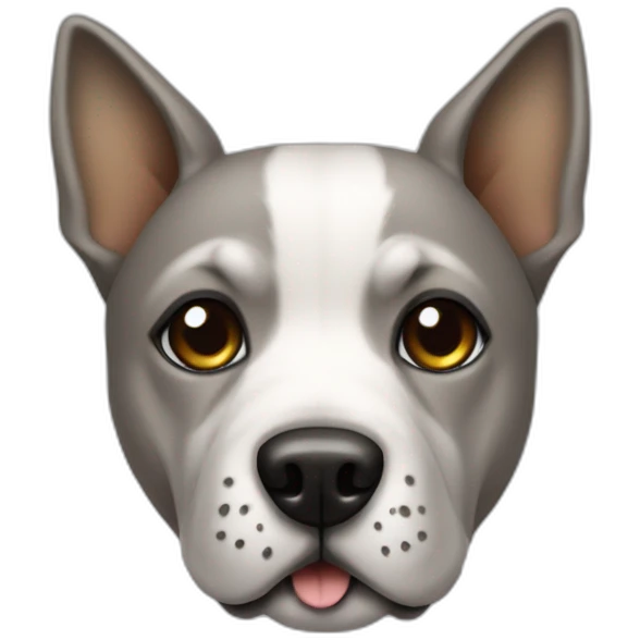 Dog on a lamborgini emoji