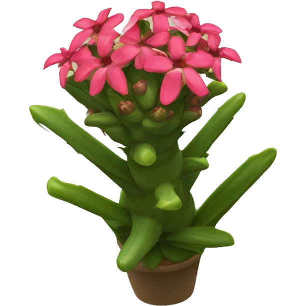 Crown of Thorns flower Euphorbia milii emoji