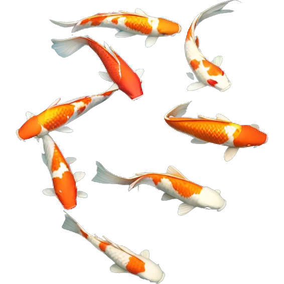 koi pond realistic  emoji