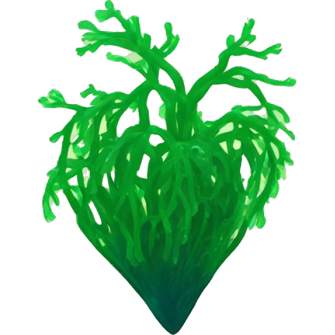 heart from long sea algae emoji