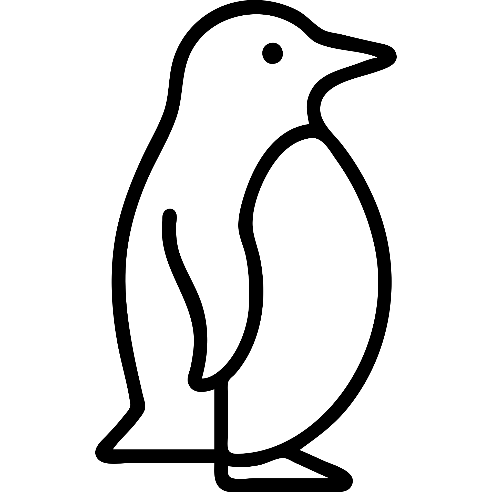 outlined penguin icon, clean lines, no fill emoji