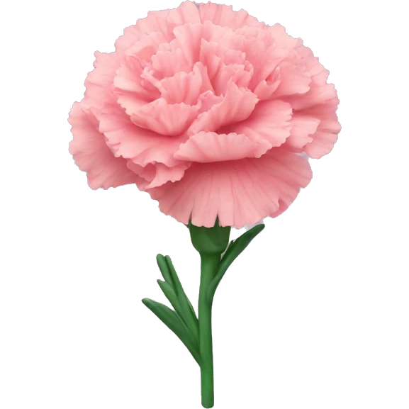 carnation emoji