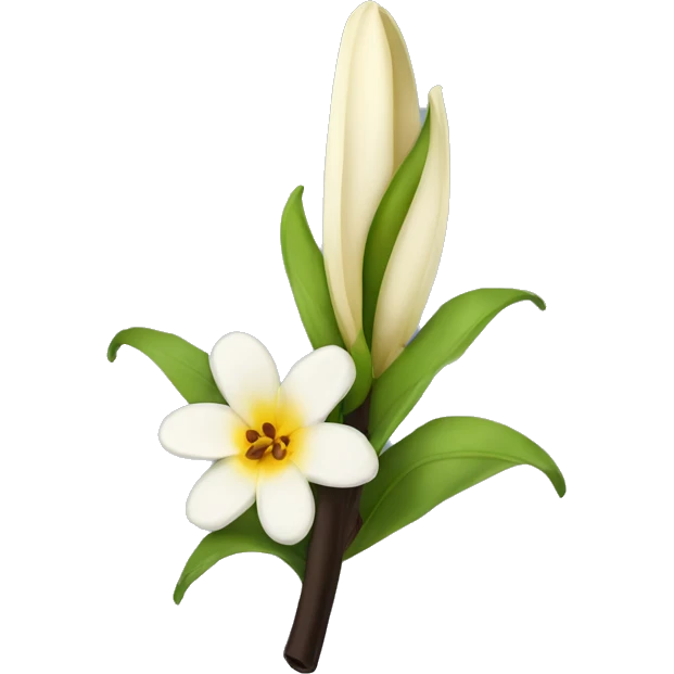  natural vanilla beans with flower emoji