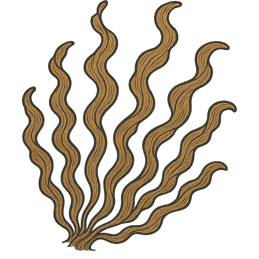 ukiyo-e style brown seaweed emoji