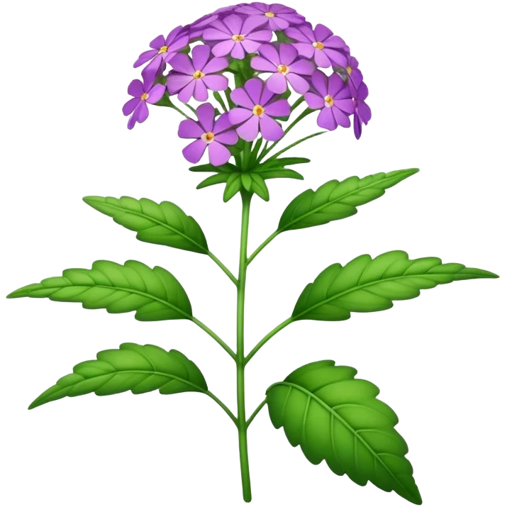 big single verbena flower, leaf emoji