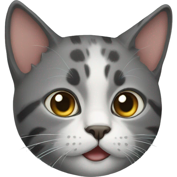 cat emoji