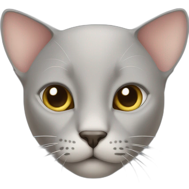 grey bald cat with big ears emoji