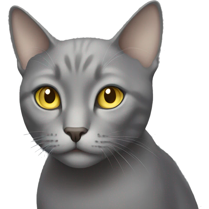 Grey cat with light yellow eyes emoji