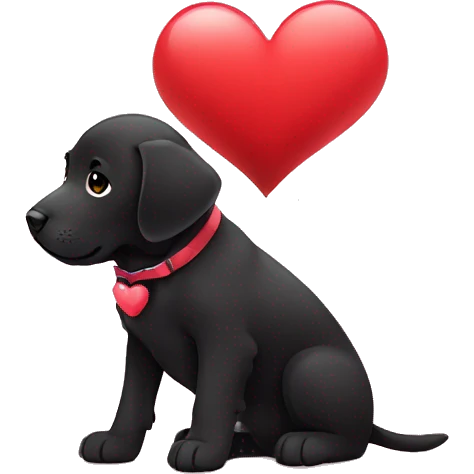 sitting black labrador puppy is holding a heart emoji