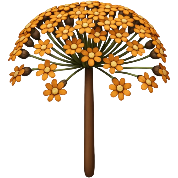 Trachyspermum ammi emoji