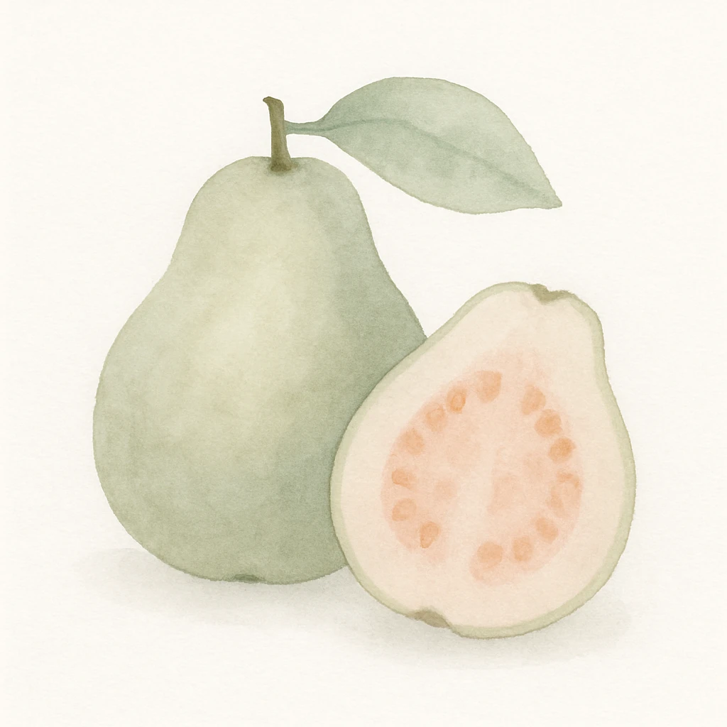 guava fruit in watercolor style, soft edges, gentle color blending, white background emoji