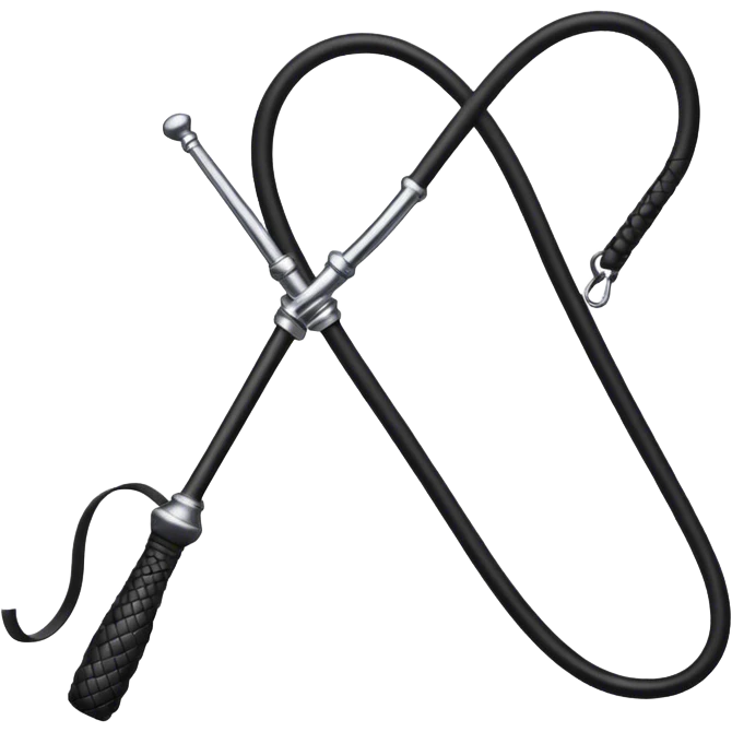 Black leather riding whip  emoji