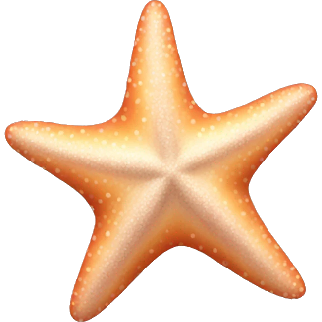 Starfish aesthetic  emoji