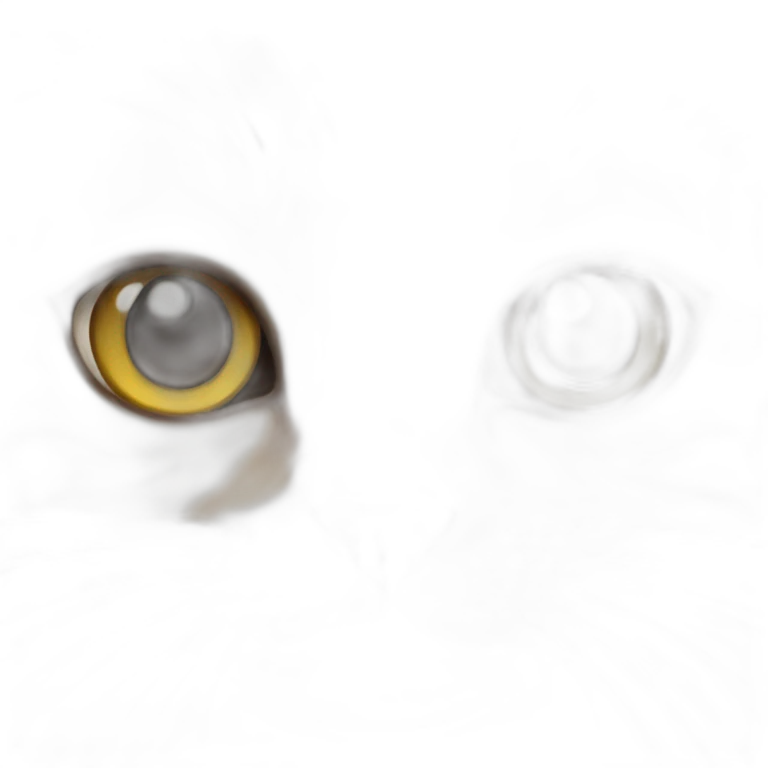Cat with large eye's stare emoji