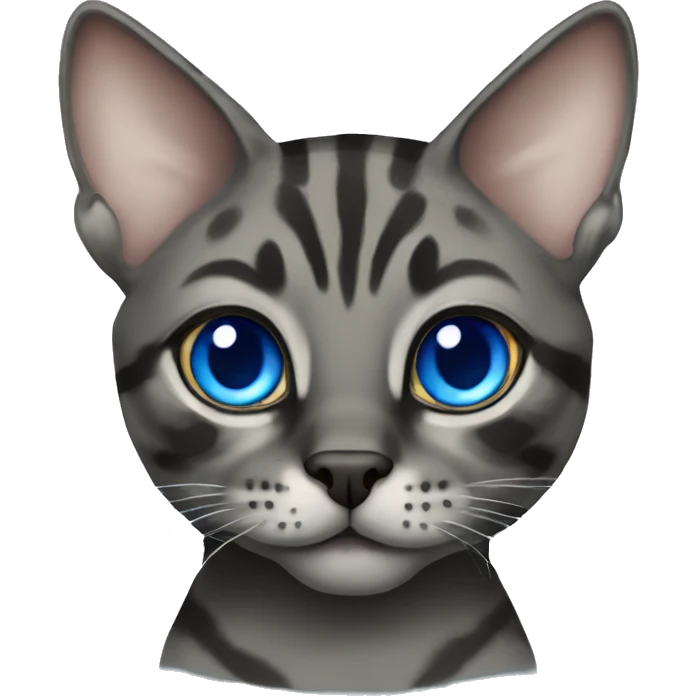 Charcoal Bengal cat with Blue eyes  emoji