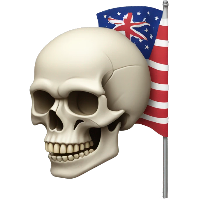 skull with straight flag emoji