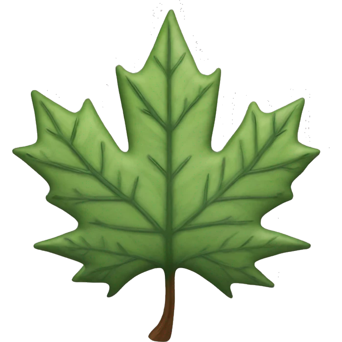 Toronto maple https://encrypted-tbn0.gstatic.com/images?q=tbn:ANd9GcR8d55mvHzOglHRljyX0xnTG8Gho8ufYRpsoA&s logo emoji