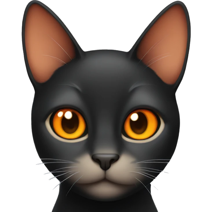 black cat with orange cat emoji