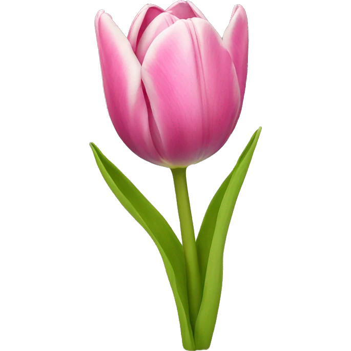 Tulip emoji