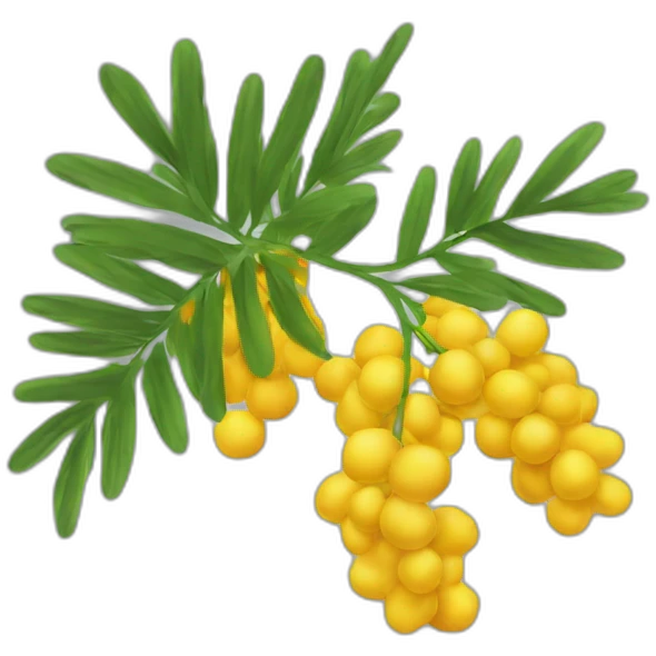 mimosa emoji