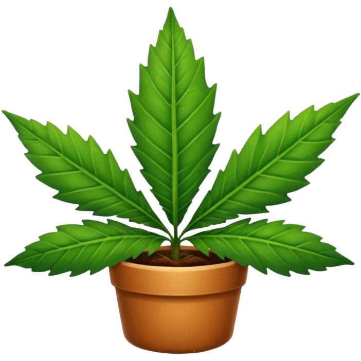 Pot Leaf emoji