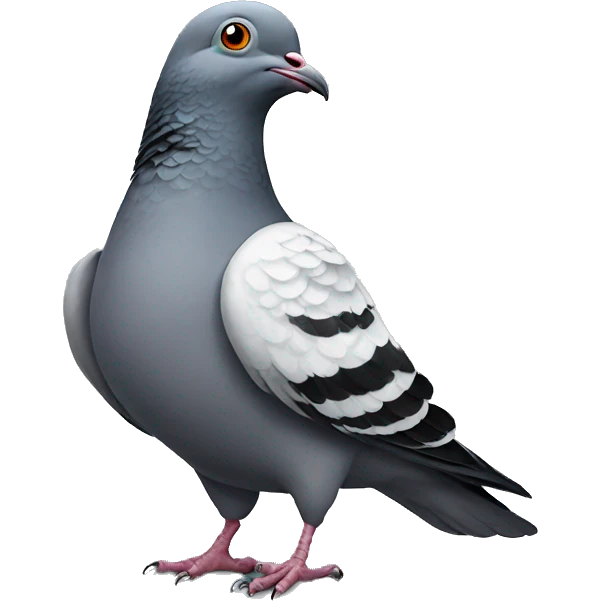Pigeon wearing pigeon emoji