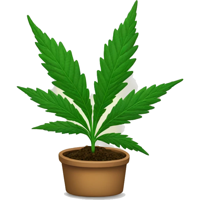 Una planta de cannabis emoji