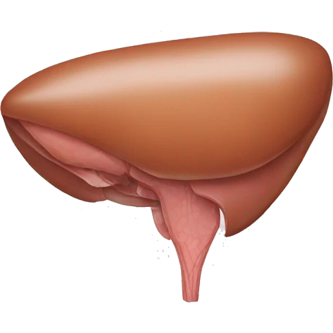 liver emoji