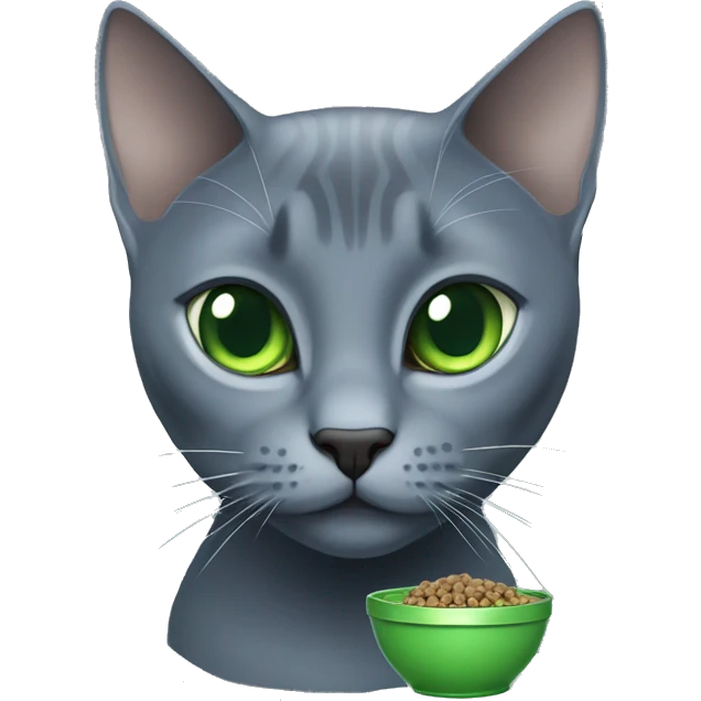 Russian Blue with green,blue eyes, eating cat food emoji