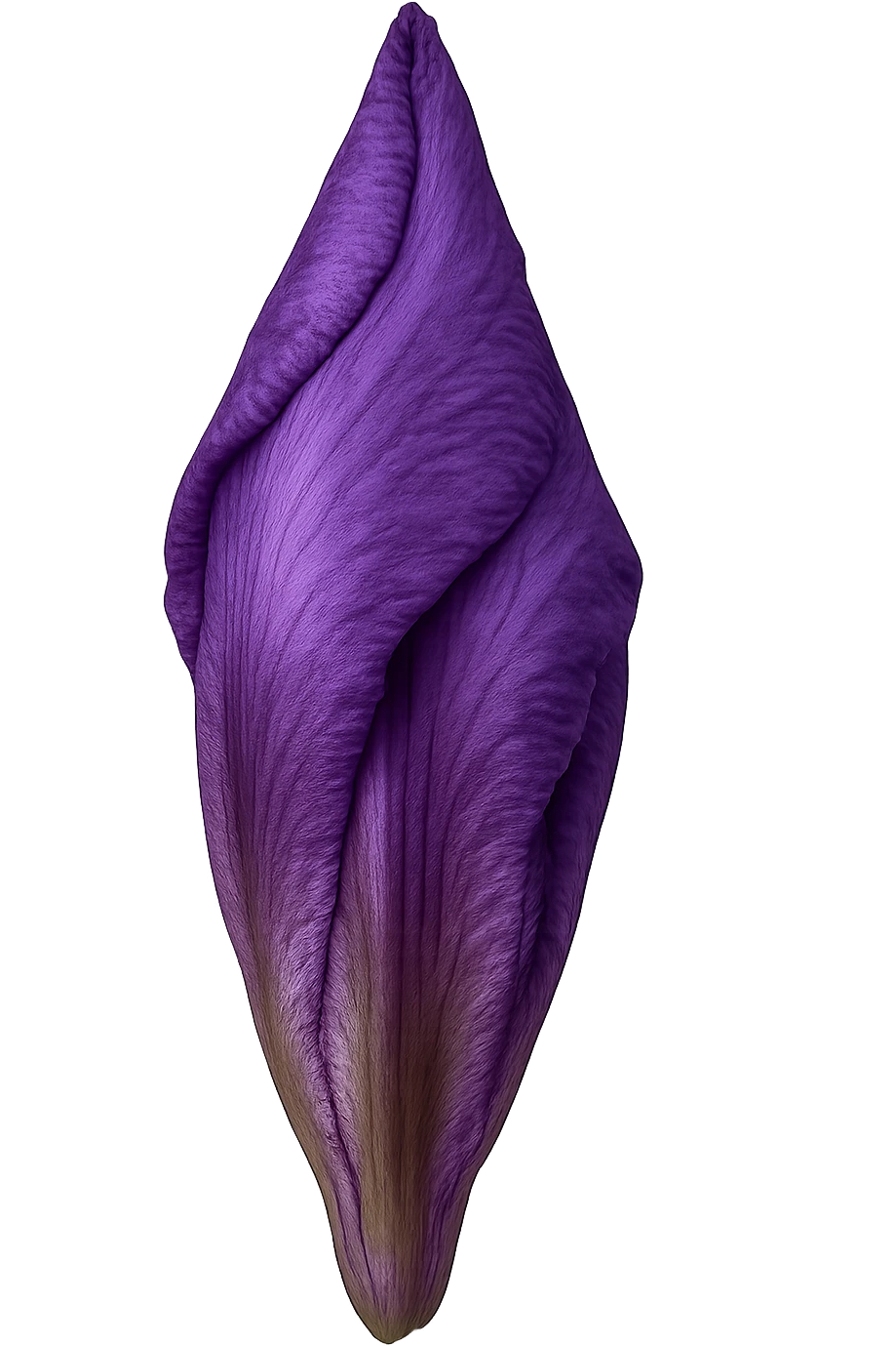 realistic purple iris bud without stem emoji