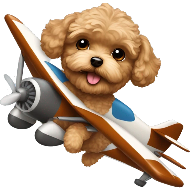 Brown Maltipoo flying a plane emoji