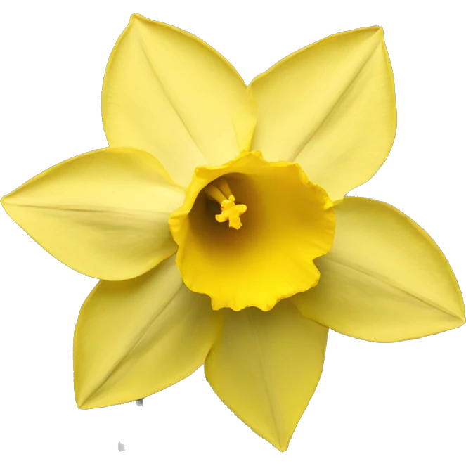 daffodil flower  emoji