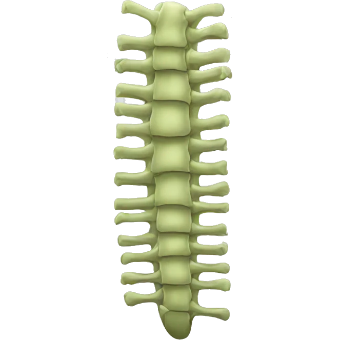 spine emoji