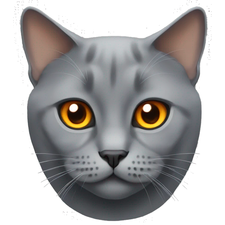 grey british cat with dark orange eyes emoji