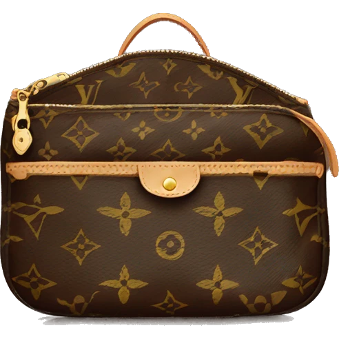 Louis Vuitton Pochette emoji