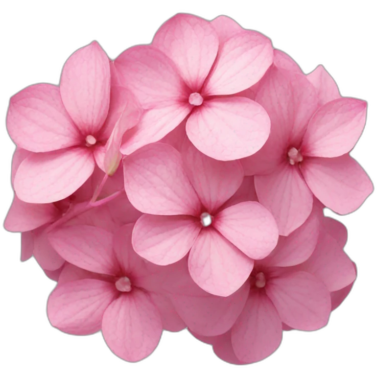 Pink hydrangea flower emoji