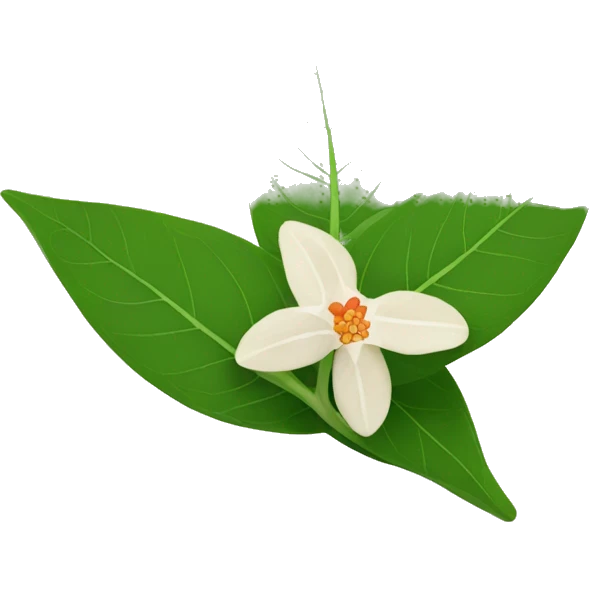 ashwagandha leaf and flower emoji