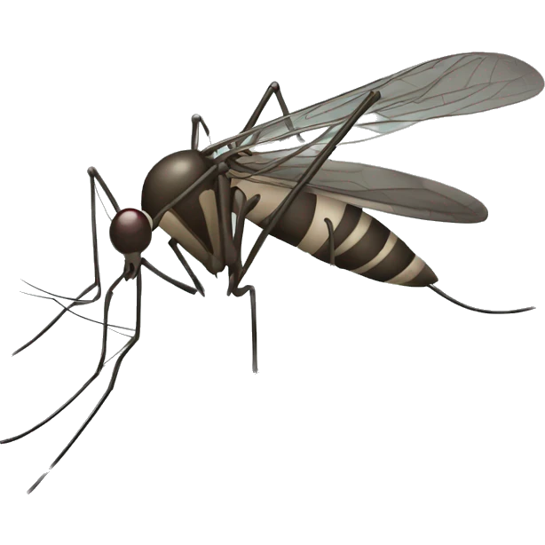 mosquito animado ojos grandes  emoji
