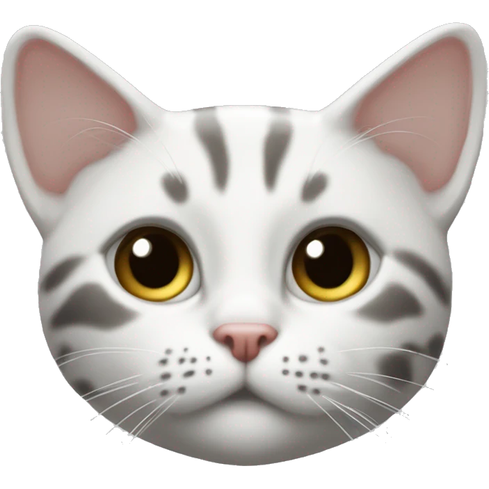 белый котенок с черным пятнышком на лапе и попе emoji