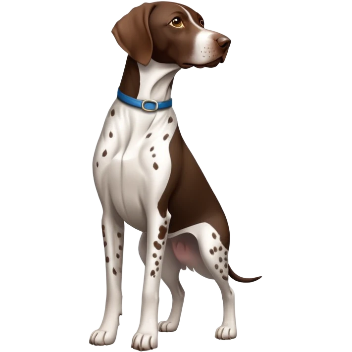 German shorthaired pointer emoji
