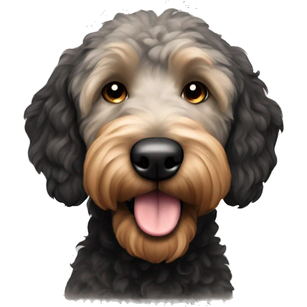 Black  golden doodle with black ears and brown muzzle  emoji