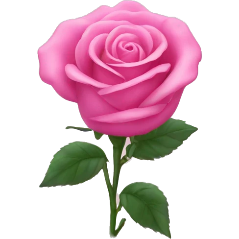Pink rose with a bow  emoji