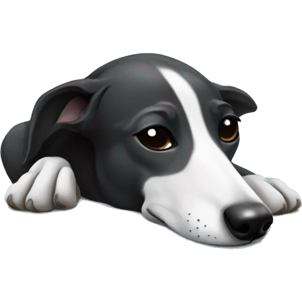 black and white Greyhound sleeping emoji
