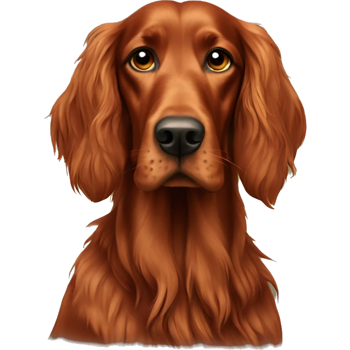 Irish setter dog  emoji